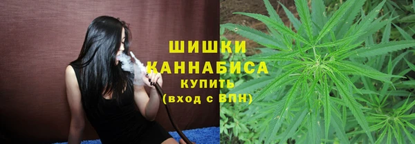 крисы Аркадак