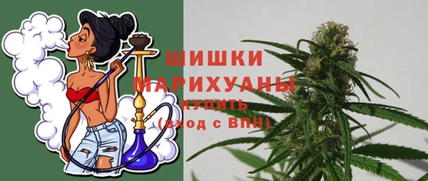 гашик Белокуриха